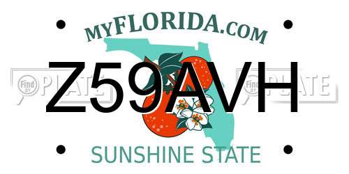 Z59AVH Florida License Plate