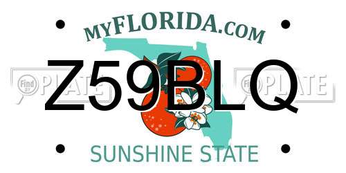 Z59BLQ Florida License Plate