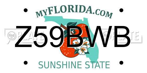 Z59BWB Florida License Plate