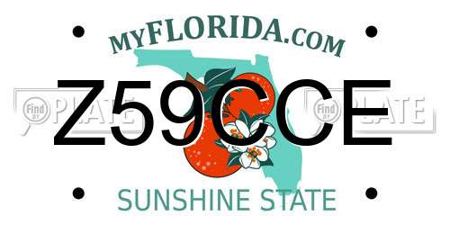 Z59CCE Florida License Plate