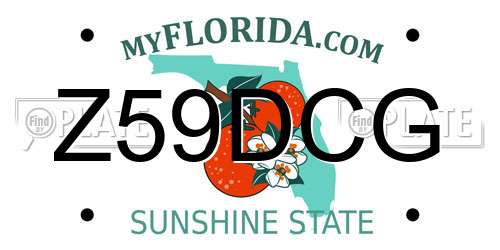 Z59DCG Florida License Plate