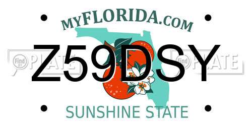 Z59DSY Florida License Plate