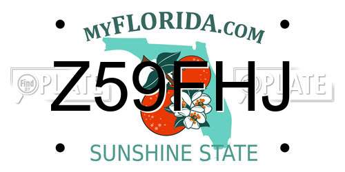 Z59FHJ Florida License Plate