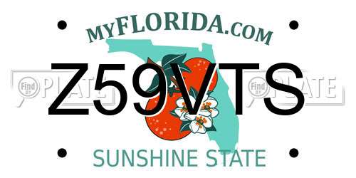 Z59VTS Florida License Plate