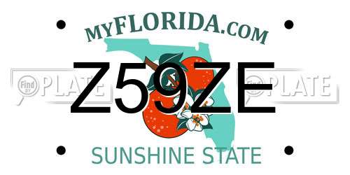 Z59ZE Florida License Plate