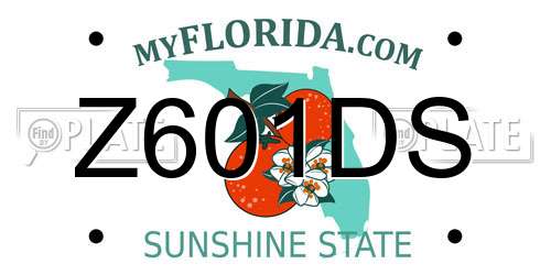 Z601DS Florida License Plate