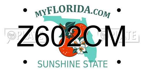Z602CM Florida License Plate