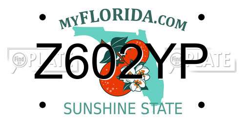 Z602YP Florida License Plate