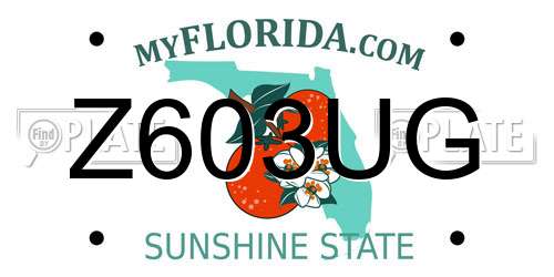 Z603UG Florida License Plate
