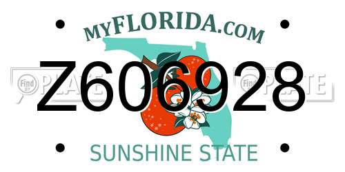 Z606928 Florida License Plate