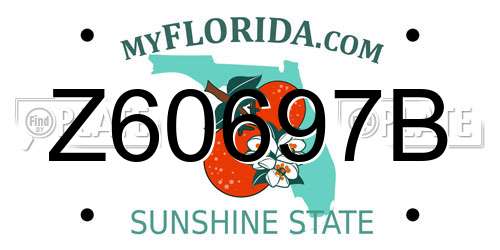 Z60697B Florida License Plate