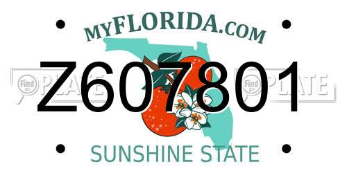 Z607801 Florida License Plate