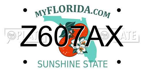 Z607AX Florida License Plate