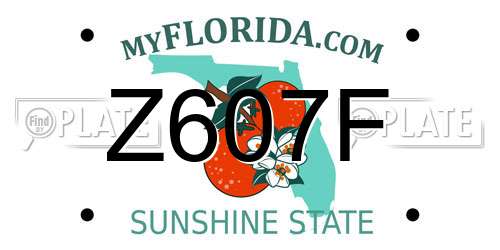 Z607F Florida License Plate