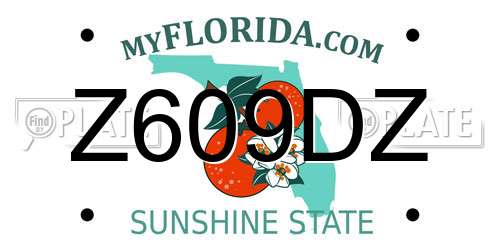 Z609DZ Florida License Plate