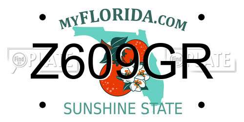 Z609GR Florida License Plate