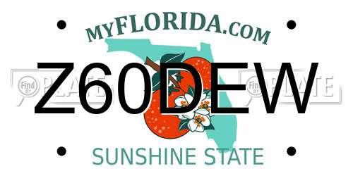Z60DEW Florida License Plate