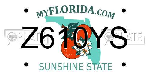 Z610YS Florida License Plate