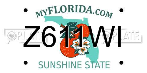 Z611WI Florida License Plate