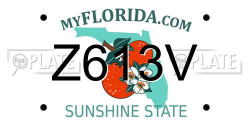 Z613V Florida License Plate