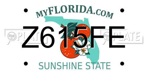 Z615FE Florida License Plate