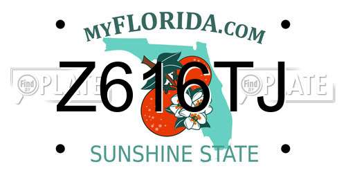 Z616TJ Florida License Plate