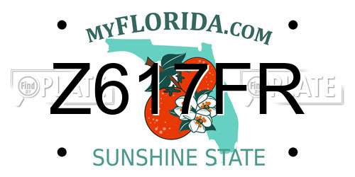 Z617FR Florida License Plate