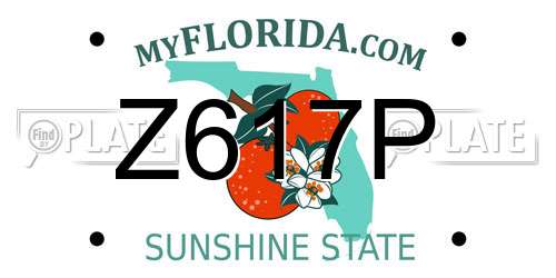 Z617P Florida License Plate