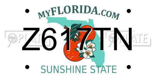 Z617TN Florida License Plate