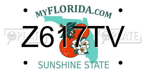 Z617TV Florida License Plate