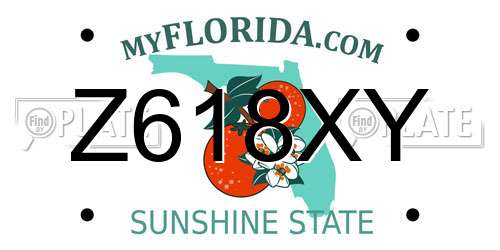 Z618XY Florida License Plate