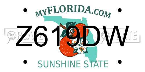 Z619DW Florida License Plate