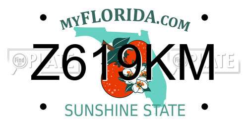 Z619KM Florida License Plate