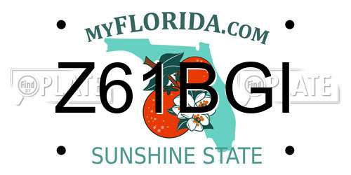 Z61BGI Florida License Plate
