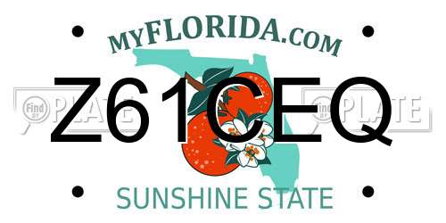 Z61CEQ Florida License Plate