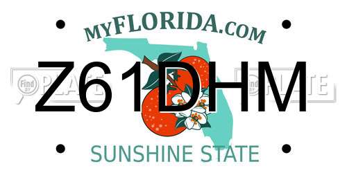 Z61DHM Florida License Plate