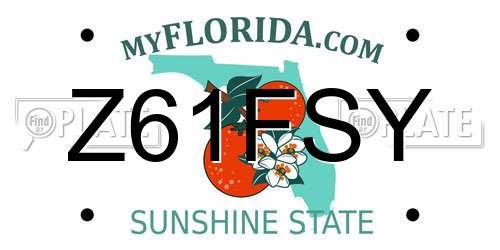 Z61FSY Florida License Plate