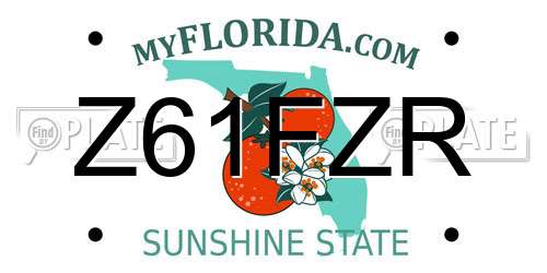 Z61FZR Florida License Plate