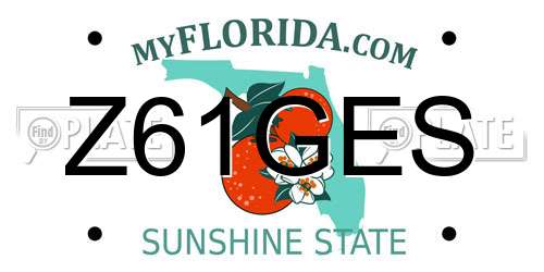 Z61GES Florida License Plate