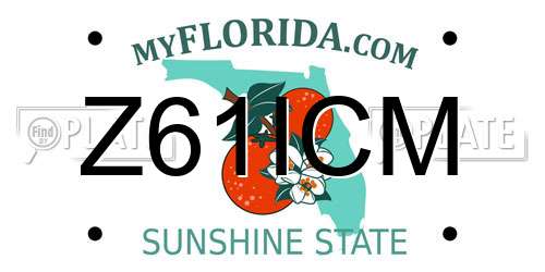 Z61ICM Florida License Plate