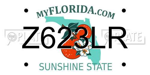 Z623LR Florida License Plate