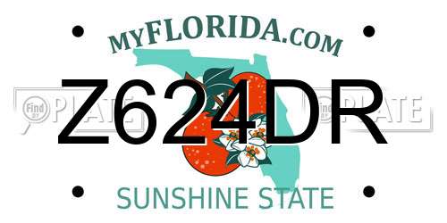 Z624DR Florida License Plate