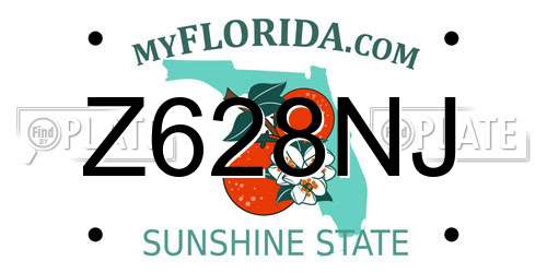 Z628NJ Florida License Plate
