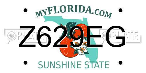 Z629EG Florida License Plate