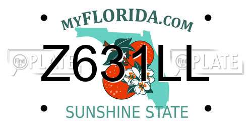 Z631LL Florida License Plate