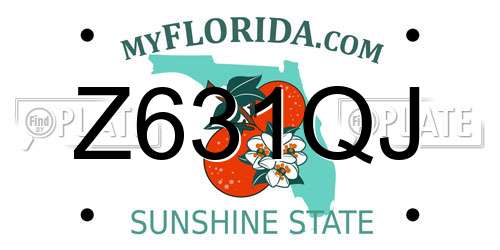 Z631QJ Florida License Plate