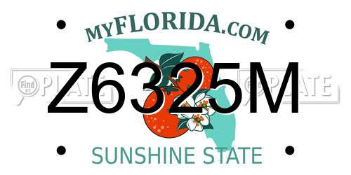 Z6325M Florida License Plate