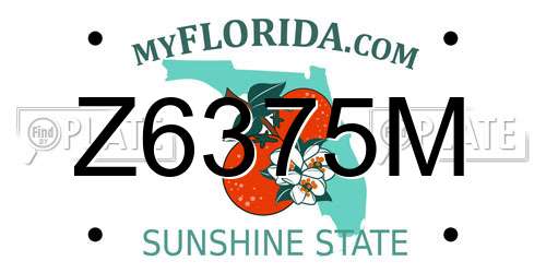 Z6375M Florida License Plate