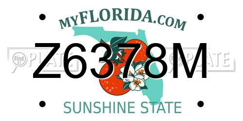 Z6378M Florida License Plate