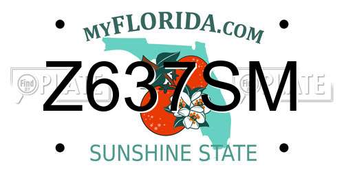 Z637SM Florida License Plate